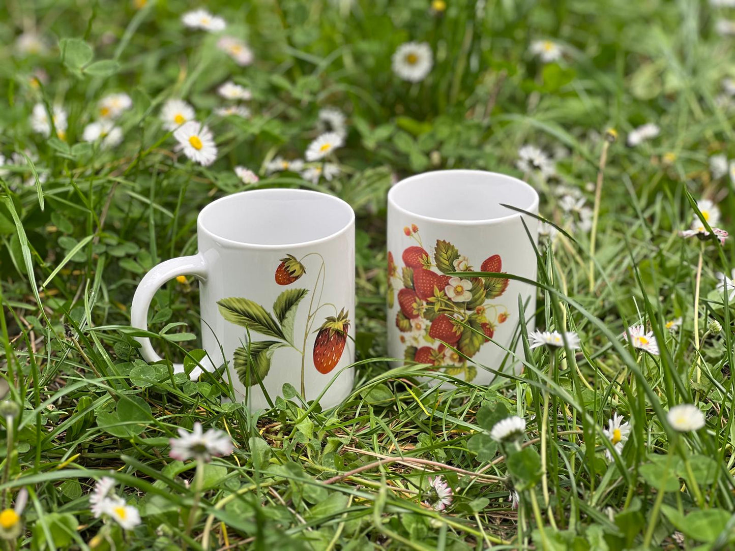 Tazza MUG